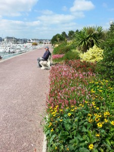 fons bloemen