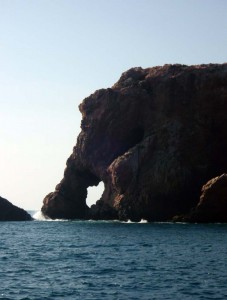 berlengas_olifant